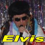 Click here for more info about Elvis costume